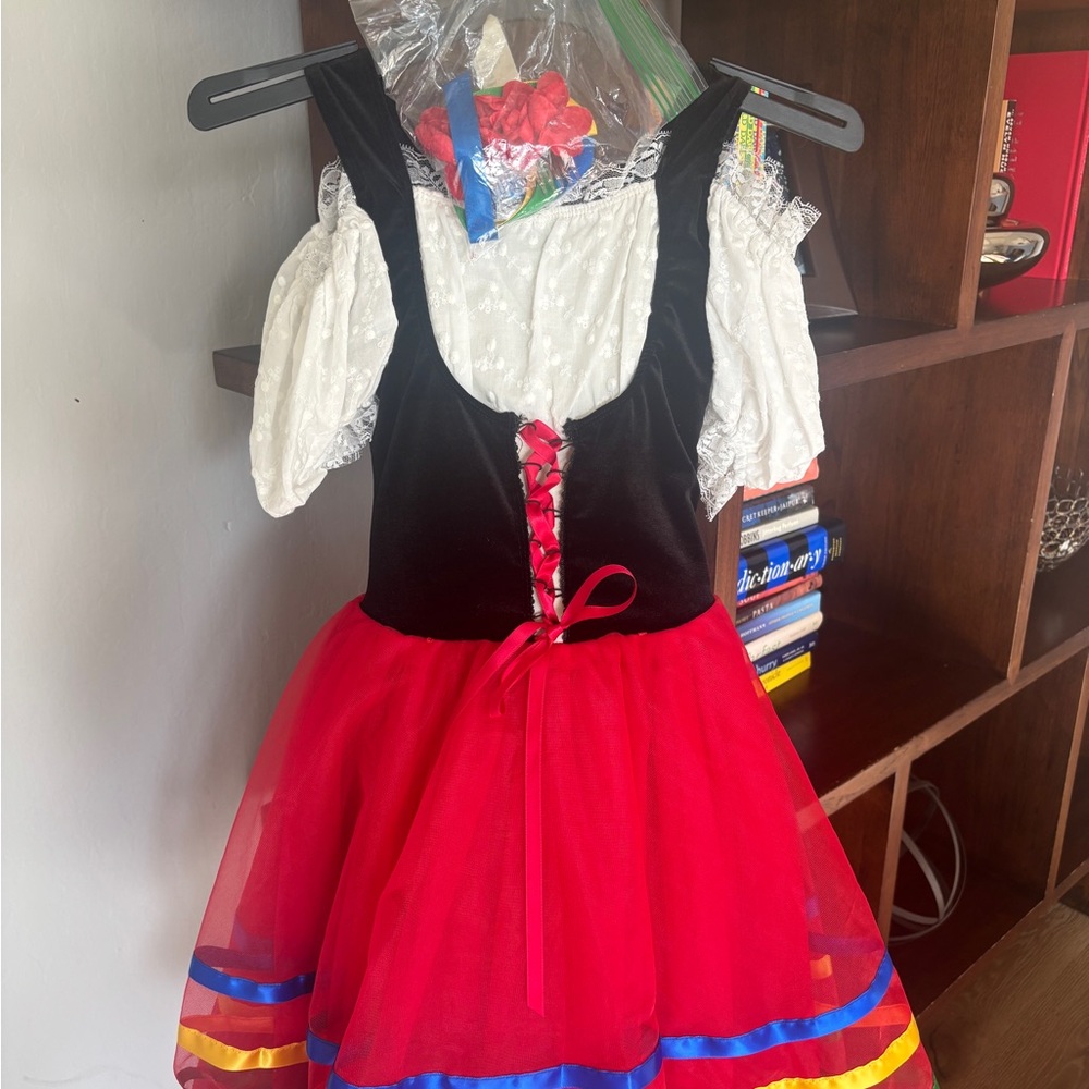 Revolution Ballet costume- worn once!  Size MC
